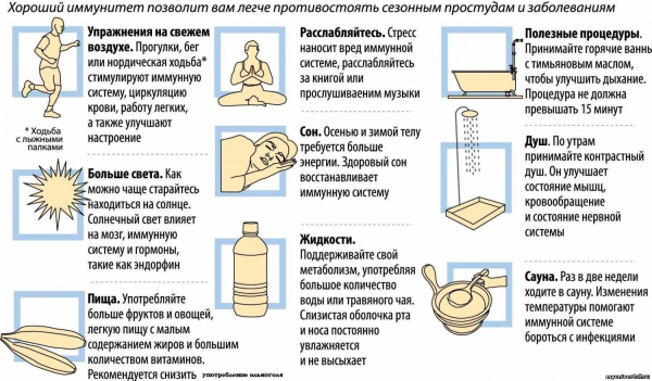 Как повысить иммунитет: 12 способов, доступных каждой